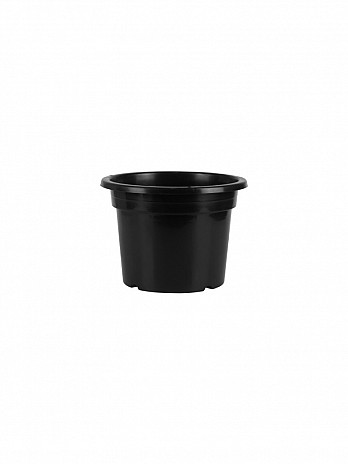 Vaso Orquídea (VA-12)